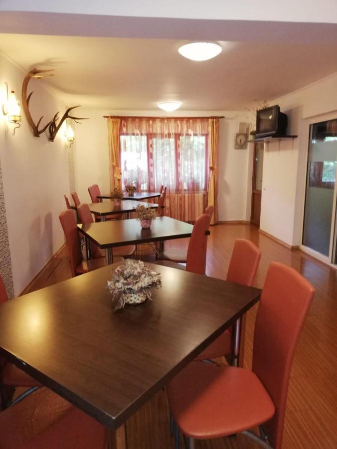 La Gabi Hotel Azuga Ngoại thất bức ảnh